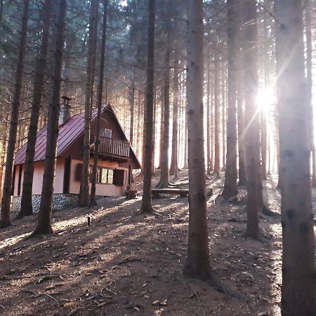 Chata Adavy Liptovský Ján Dış mekan fotoğraf
