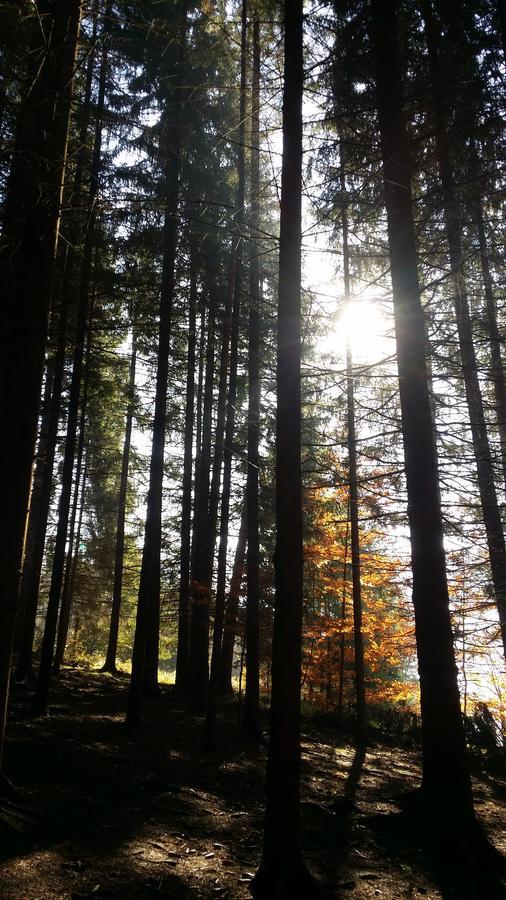 Chata Adavy Liptovský Ján Dış mekan fotoğraf