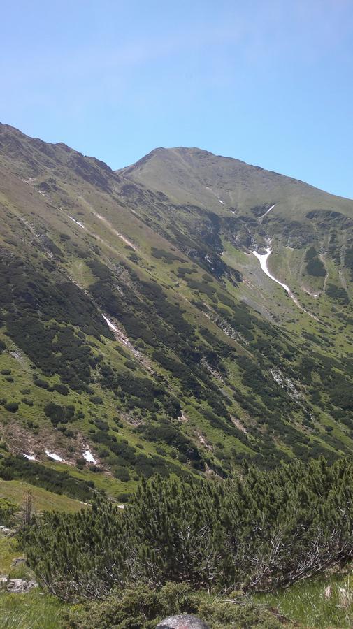 Chata Adavy Liptovský Ján Dış mekan fotoğraf